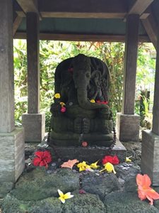 هاوایی-صومعه-هندو-کائوآئی-Kauai-s-Hindu-Monastery-221976