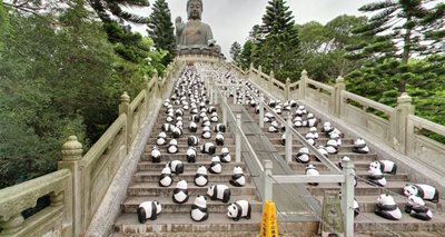 هنگ-کنگ-مجسمه-تیان-تان-Tian-Tan-Buddha-222355