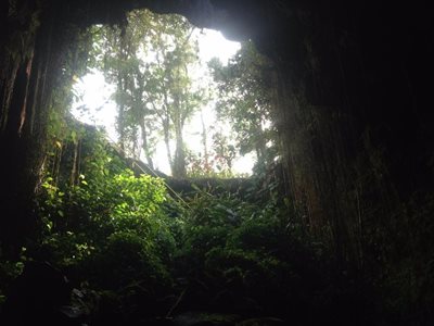 هاوایی-پارک-غارهای-کائومانا-Kaumana-Caves-Park-222669
