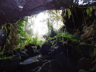 هاوایی-پارک-غارهای-کائومانا-Kaumana-Caves-Park-222687