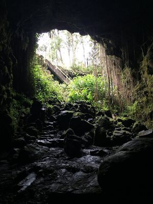 هاوایی-پارک-غارهای-کائومانا-Kaumana-Caves-Park-222686