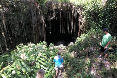هاوایی-پارک-غارهای-کائومانا-Kaumana-Caves-Park-222684