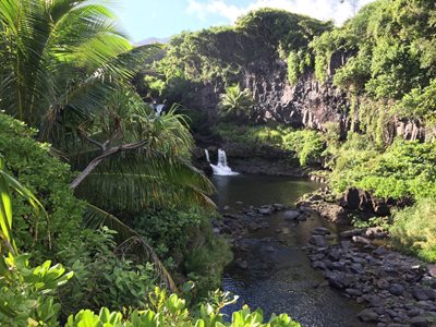 هاوایی-پارک-جنگلی-Ohe-o-Gulch-222707