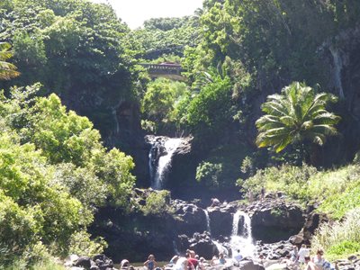 هاوایی-پارک-جنگلی-Ohe-o-Gulch-222692
