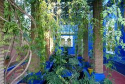 باغ ماژورِل Jardin Majorelle (Majorelle Garden)