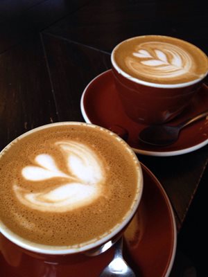 نیویورک-کافه-Stumptown-Coffee-Roasters-226113
