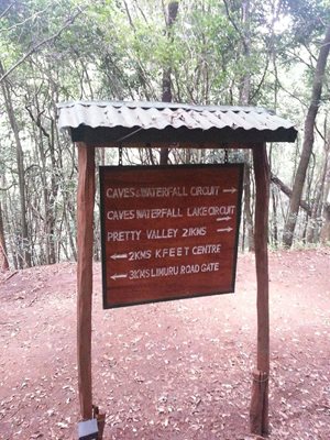 نایروبی-جنگل-کارورا-Karura-Forest-230410