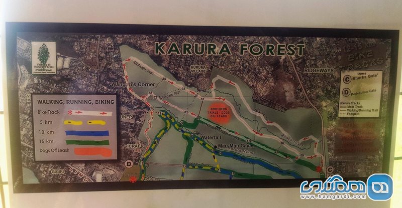 جنگل کارورا Karura Forest