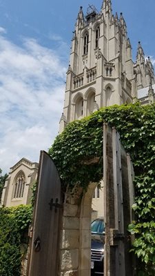 واشنگتن-کلیسای-جامع-ملی-واشنگتن-Washington-National-Cathedral-246376