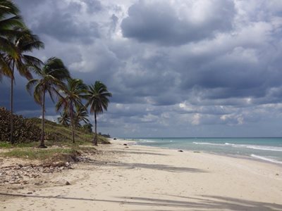 هاوانا-ساحل-Playas-de-Este-252534