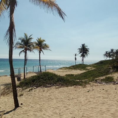 هاوانا-ساحل-Playas-de-Este-252549