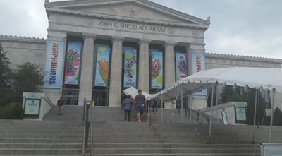 شیکاگو-آکواریوم-Shedd-Aquarium-253284