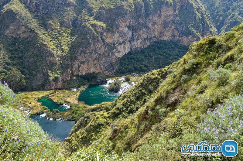 پارک Nor Yauyos-Cochas Landscape Reserve