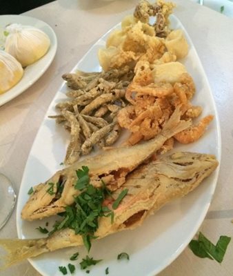 نیکوزیا-رستوران-دریایی-ماهی-Paragadi-Fish-Restaurant-258128