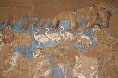 سمرقند-موزه-افراسیاب-Afrasiab-260960