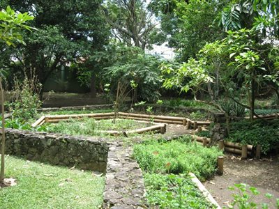 مدلین-باغ-گیاه-شناسی-مدلین-Botanical-Garden-of-Medellin-263181