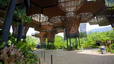 مدلین-باغ-گیاه-شناسی-مدلین-Botanical-Garden-of-Medellin-263183