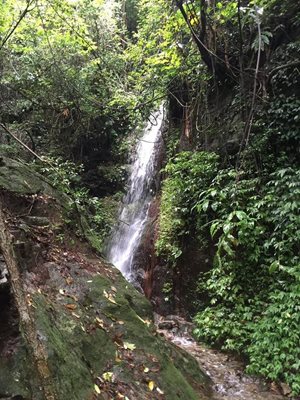 کاتماندو-پارک-ملی-Shivapuri-Nagarjun-National-Park-263640