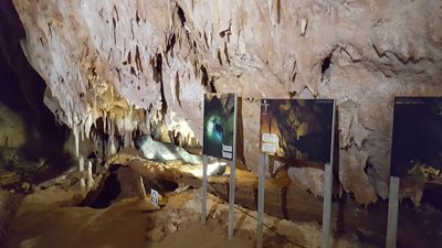 ساردینیا-غار-Grotta-del-Fico-264330