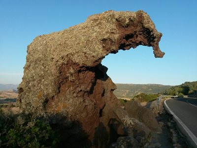 ساردینیا-سنگ-فیل-Roccia-dell-Elefante-264416