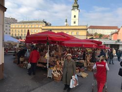 بازار کشاورزها Dolac Market