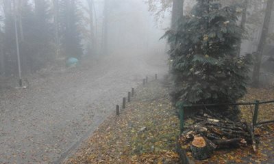 زاگرب-پارک-جنگلی-Medvednica-271405