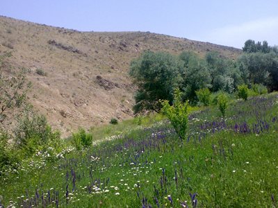 روستای جیرانبلاغی