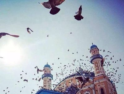 کابل-مسجد-شاه-دو-شمشیره-Shah-e-Doh-Shamshira-Mosque-273179