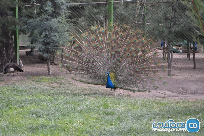 باغ گیاه شناسی و باغ وحش Botanical Garden and Zoo