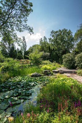 کبک-باغ-گیاه-شناسی-راجر-Jardin-Botanique-Roger-Van-den-Hende-276499