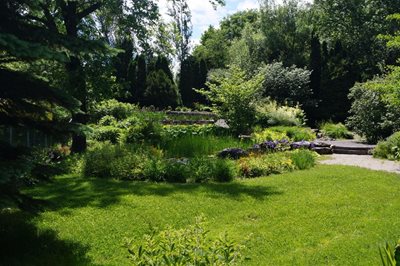 کبک-باغ-گیاه-شناسی-راجر-Jardin-Botanique-Roger-Van-den-Hende-276501