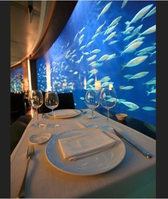 والنسیا-رستوران-زیر-آب-Submarino-Restaurant-276754