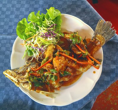 چیانگ-مای-رستوران-دش-Dash-Restaurant-and-Bar-281501