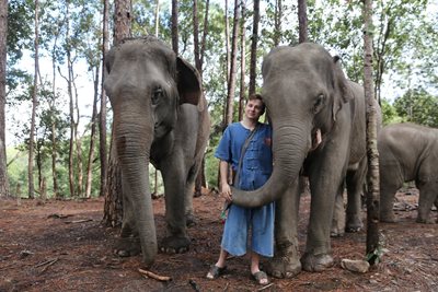 چیانگ-مای-کمپ-فیل-ها-بلو-الفنت-تایلند-تور-Blue-Elephant-Thailand-Tours-281764