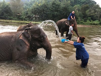 چیانگ-مای-کمپ-فیل-ها-بلو-الفنت-تایلند-تور-Blue-Elephant-Thailand-Tours-281772