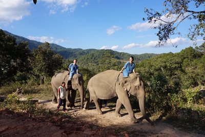 چیانگ-مای-کمپ-فیل-ها-بلو-الفنت-تایلند-تور-Blue-Elephant-Thailand-Tours-281769
