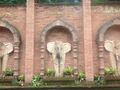 چیانگ-مای-باغ-وحش-چیانگ-مای-Chiang-Mai-Zoo-281753