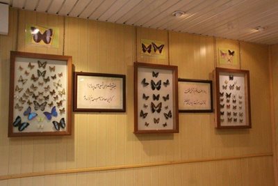 باغ موزه پروانه ها اصفهان