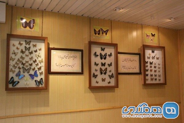 باغ موزه پروانه ها اصفهان