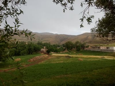 سراب-روستای-شیخ-سرجین-287875