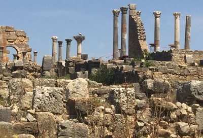 مکناس-ولیلی-Volubilis-292750