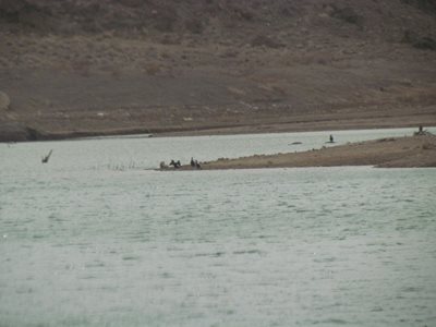 دامغان-دریاچه-سد-شهید-شاهچراغی-293069