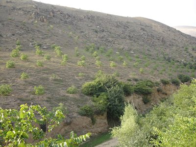 چالوس-روستای-کردیچال-293175