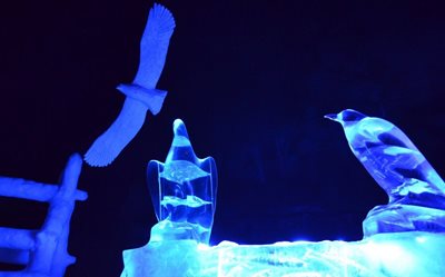 لوفوتن-موزه-یخ-جادویی-Magic-Ice-295475