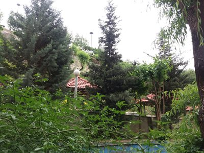 تهران-پارک-نهج-البلاغه-295911