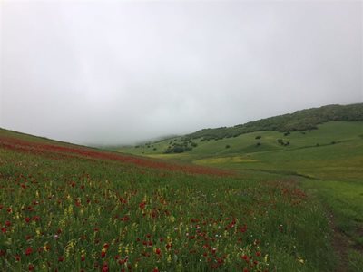 نمین-روستای-ننه-کران-300216
