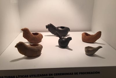 ماچو-پیچو-موزه-مانوئل-چاوز-ماچو-پیچو-Museo-Manuel-Chavez-Ballon-304126