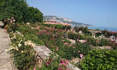 صوفیه-بالچیک-صوفیه-Balchik-306115