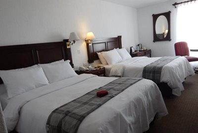 آره-کویپا-هتل-کاسا-آندینای-آره-کویپا-Casa-Andina-Premium-Arequipa-307251