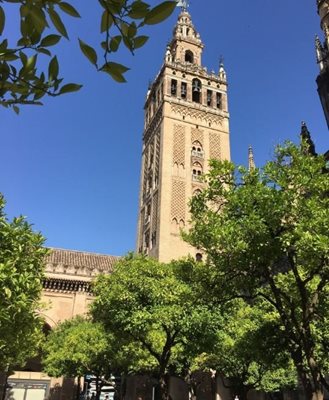 سویا-کلیسای-جامع-سویا-Seville-Cathedral-309640